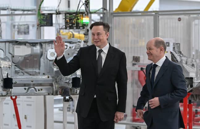 Musk wants a fight. Image: PA Images