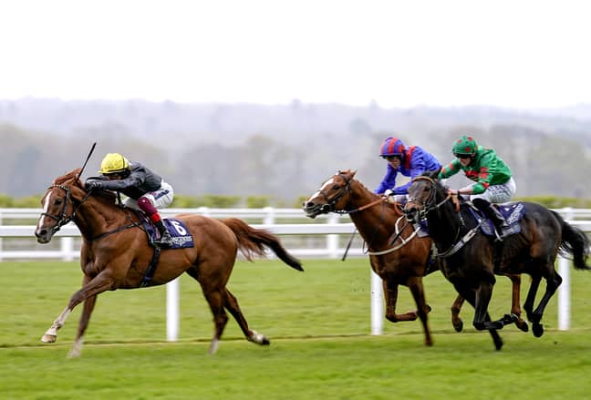 Stradivarius could win the Gold Cup for a record fourth time this afternoon