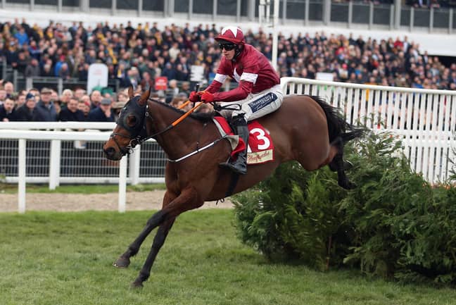 Tiger Roll at Cheltenham earlier this year. Credit: PA