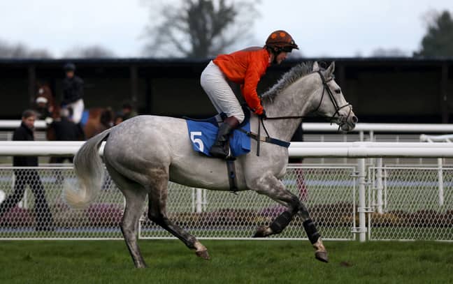 Brooke enjoyed a high-profile success when winning the inaugural Ladies Handicap Chase at Fairyhouse on Moonlone Lane for Paul Stafford in 2015