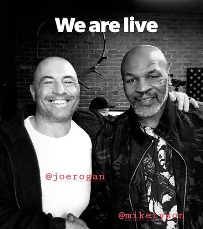 Tyson and Rogan smoked weed together during the podcast. Credit: Joe Rogan/Instagram