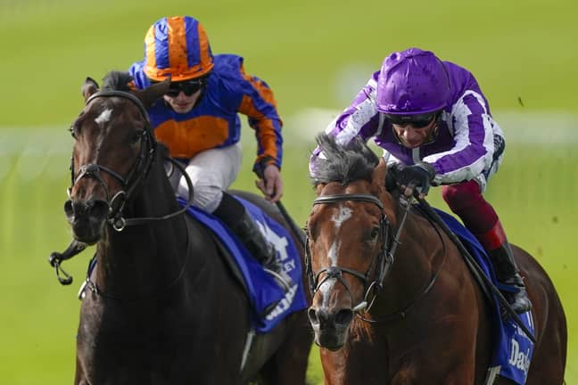 Wembley (left) is the warm favourite for the QIPCO 2000 Guineas