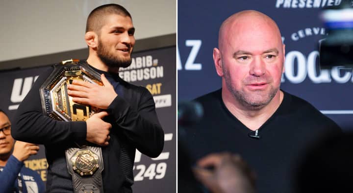 Dana White Expects Khabib Nurmagomedov To Come Out Of Retirement And Reach 30-0