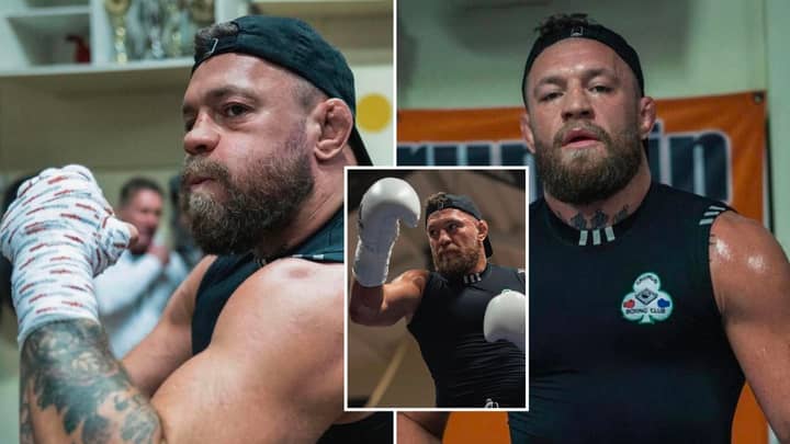 'Beast' Conor McGregor Flaunts Incredible Body Transformation In Boxing Training, He's Unrecognisable
