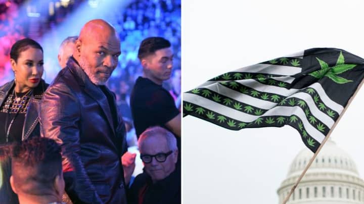 Mike Tyson Smokes £33,000 Worth Of Weed A Month