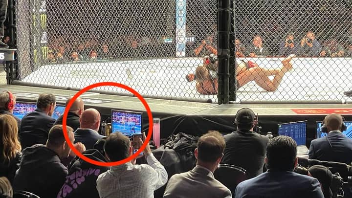 Photo Of Dana White Watching Canelo Vs Caleb Plant During UFC 268 Goes Viral
