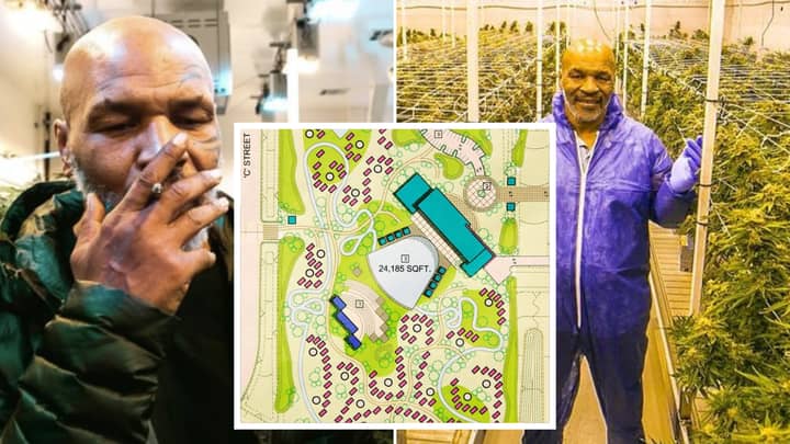 Inside Mike Tyson's Insane Plans To Make A 407-Acre Weed Holiday Resort