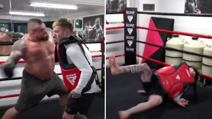 Man Takes A Punch Off World's Strongest Man Eddie Hall And It Doesn't End Well