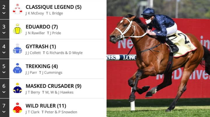 The TAB Everest: Our Brutally-Honest Analysis Of Every Horse's Name