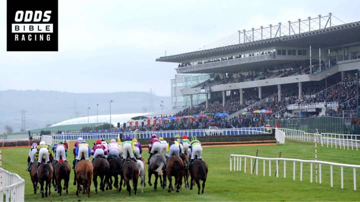 ODDSbible Racing: Saturday's Preview From Haydock, Limerick And More