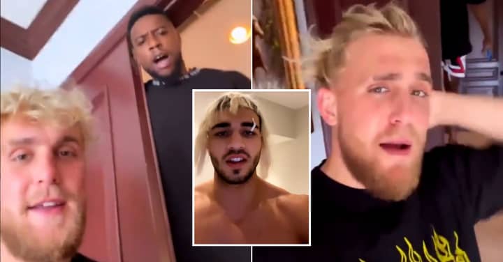 Jake Paul Brutally Mocks Tyson Fury And Tommy Fury In Latest Callout Video