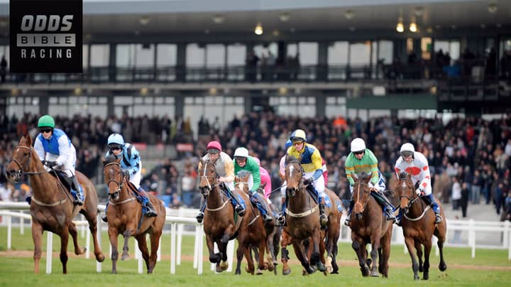 ODDSbible Racing: Irish Grand National Betting Preview