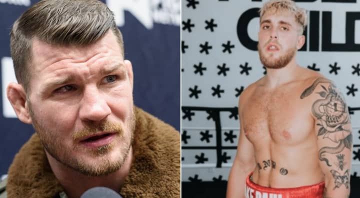 Former MMA Star Michael Bisping Accepts Challenge From Jake Paul And Says He Will "Take Him To School"