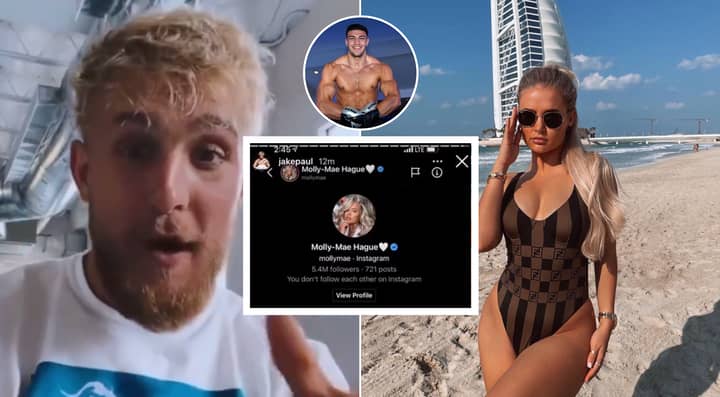 Jake Paul Finally Shares 'DM From Molly-Mae' In Savage Instagram Rant, She Quickly Responded