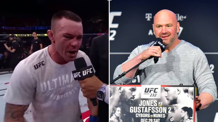 UFC Star Calls Dana White A 'Piece Of Sh*t' In Brutal Rant 