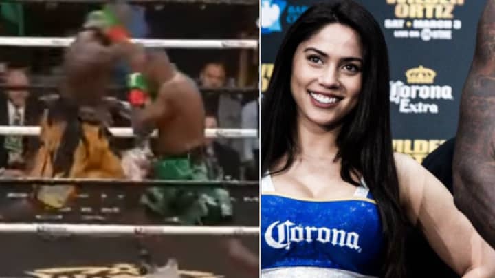 Watch: Corona Girls Brilliantly React To Wilder's Vicious Knockout Against Ortiz 