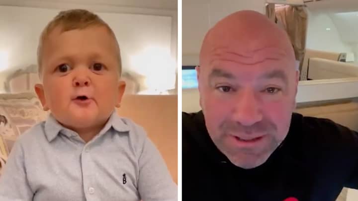 Dana White And Hasbulla Send Wholesome Video Messages To Each Other Ahead Of Meeting In Abu Dhabi