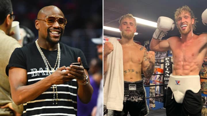 There Is A Major Possibility That Jake Paul Will Fight Floyd Mayweather After Logan Paul Exhibition