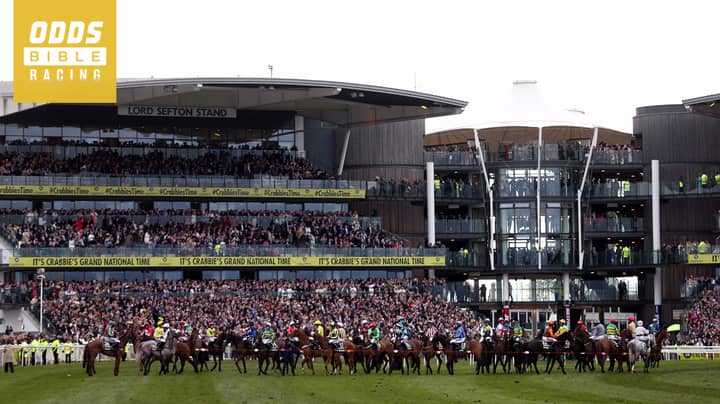 ODDSbibleRacing's Aintree Grand National Ante-Post Betting Preview
