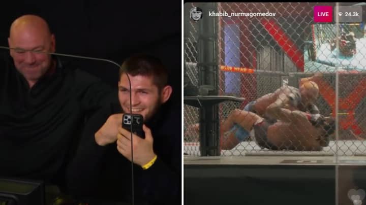 Khabib Nurmagomedov Illegally Streams UFC Main Event Right Next To Dana White And Fans Are In Stitches