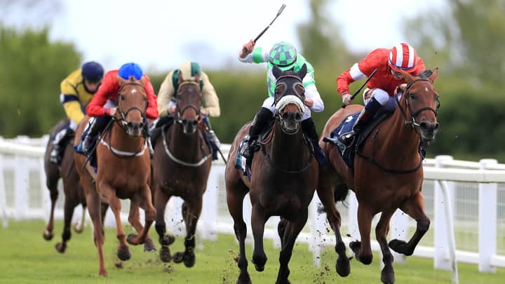 Horse Racing Tips: NAP, Next Best And Outsider To Follow At Today's Fixtures
