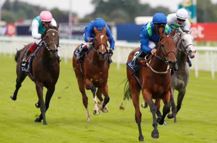 York Dante Festival Tips And Predictions For Wednesday, 12th May