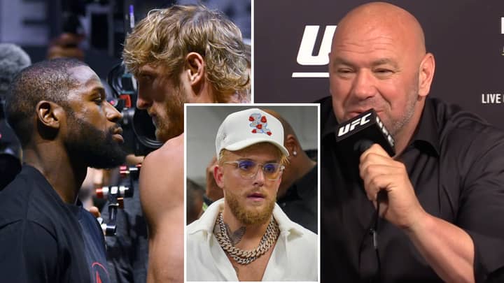 UFC President Dana White Confirms Floyd Mayweather vs Logan Paul PPV Buys After Jake Paul Dig