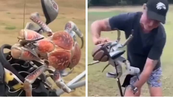 Aussie Golfer Has His Clubs Attacked By Giant Crab, The Video Is Nuts