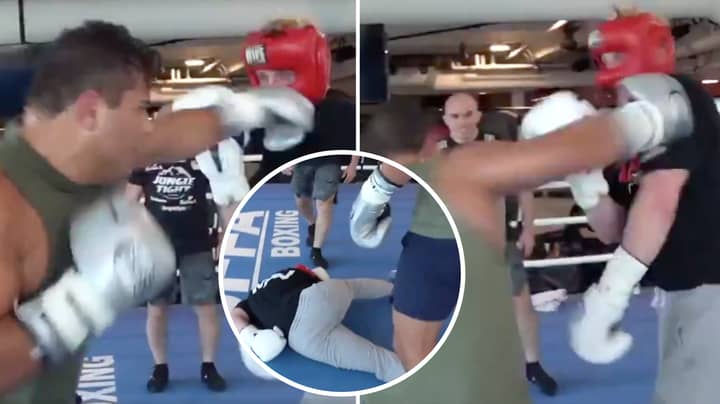 Logan Paul Was Brutally Knocked Out By UFC's Paulo Costa In Sparring Session