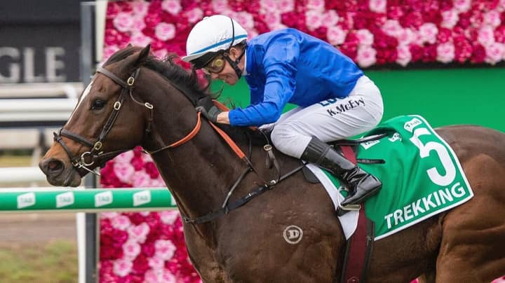 The TAB Everest: Our Punting Guide To Australia's Richest Race