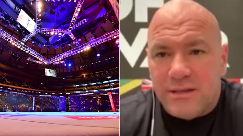 Dana White names her UFC GOAT and current best fighter